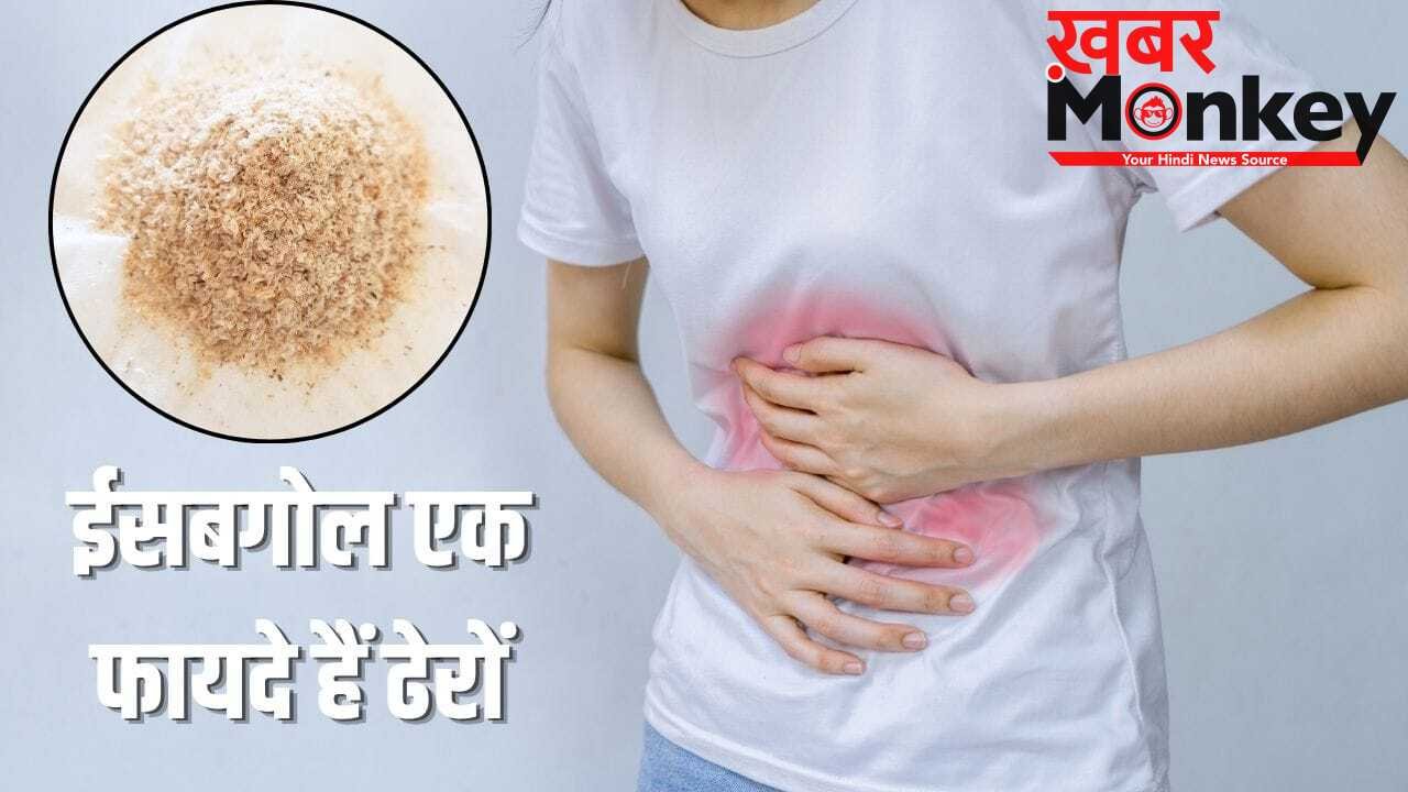 How To eat Psyllium Husk: ईसबगोल खाने के 5 तरीके, इन पांच हेल्थ प्रॉब्लम से दिलाएंगे छुटकारा