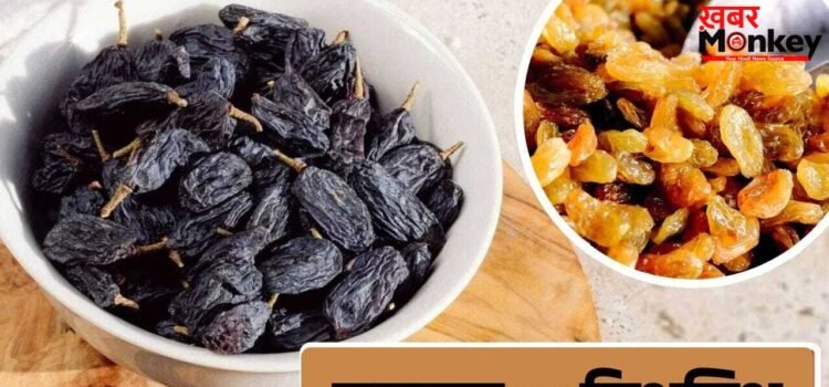 Raisin Vs Munakka: किशमिश या मुनक्का…गर्मियों में क्या खाना है ज्यादा फायदेमंद? जानें