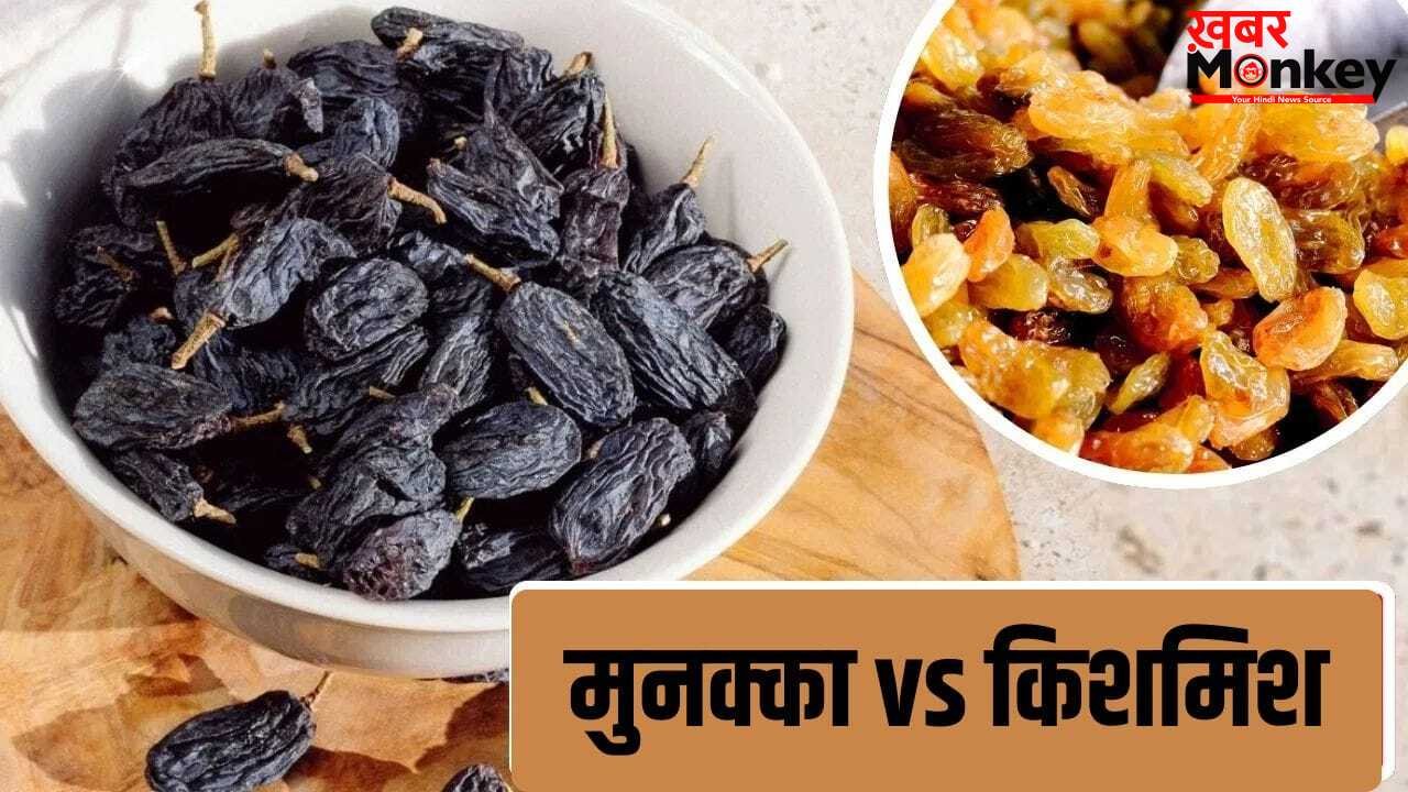 Raisin Vs Munakka: किशमिश या मुनक्का…गर्मियों में क्या खाना है ज्यादा फायदेमंद? जानें