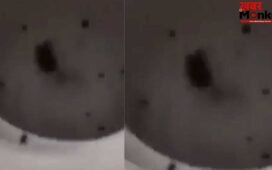 Viral: चूहे को परेशान करने के लिए बंदे ने किया ऐसा काम, वीडियो देख लोग बोले- गरुड़ पुराण में इसके लिए अलग सजा है