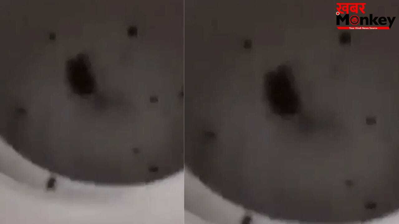 Viral: चूहे को परेशान करने के लिए बंदे ने किया ऐसा काम, वीडियो देख लोग बोले- गरुड़ पुराण में इसके लिए अलग सजा है