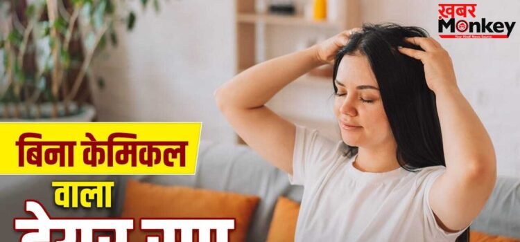 क्या घर पर ही कर सकते हैं हेयर स्पा? इस सफेद देसी चीज से मिलेंगे बेस्ट रिजल्ट