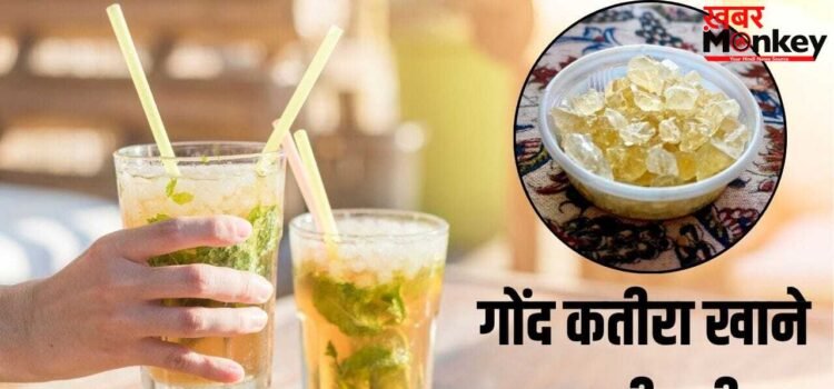 गोंद कतीरा खाने में ज्यादातर लोग जरूर करते हैं ये गलती, होता है नुकसान गोंद कतीरा खाने में ज्यादातर लोग जरूर करते हैं ये गलती, होता है नुकसान