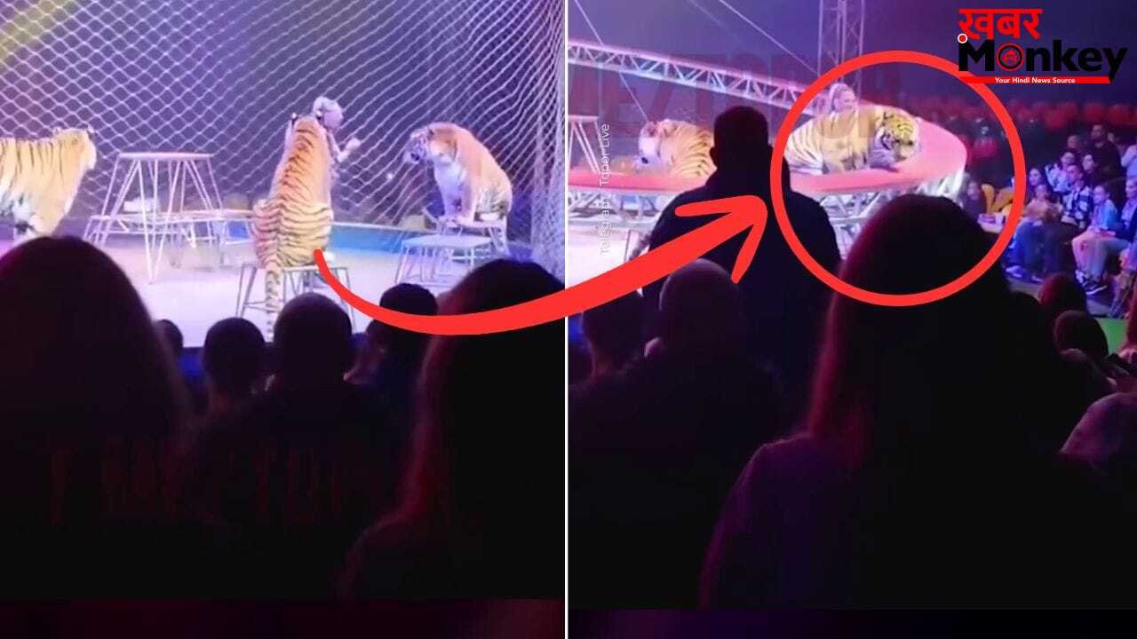 Viral: सर्कस में ‘मौत का तांडव’; पिंजरा तोड़ दर्शकों पर झपटा बाघ, रूह कंपा देगा यह Video!
