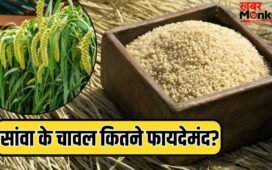 व्रत में खाते हैं सांवा के चावल, क्या आपको पता है कि इसमें कितने विटामिन-मिनरल्स हैं?
