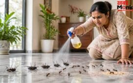 Smart Hacks: फर्श पर नहीं आएंगी मक्खियां, चींटियों का भी होगा सफाया…बस अपनाएं ये 5 स्मार्ट हैक