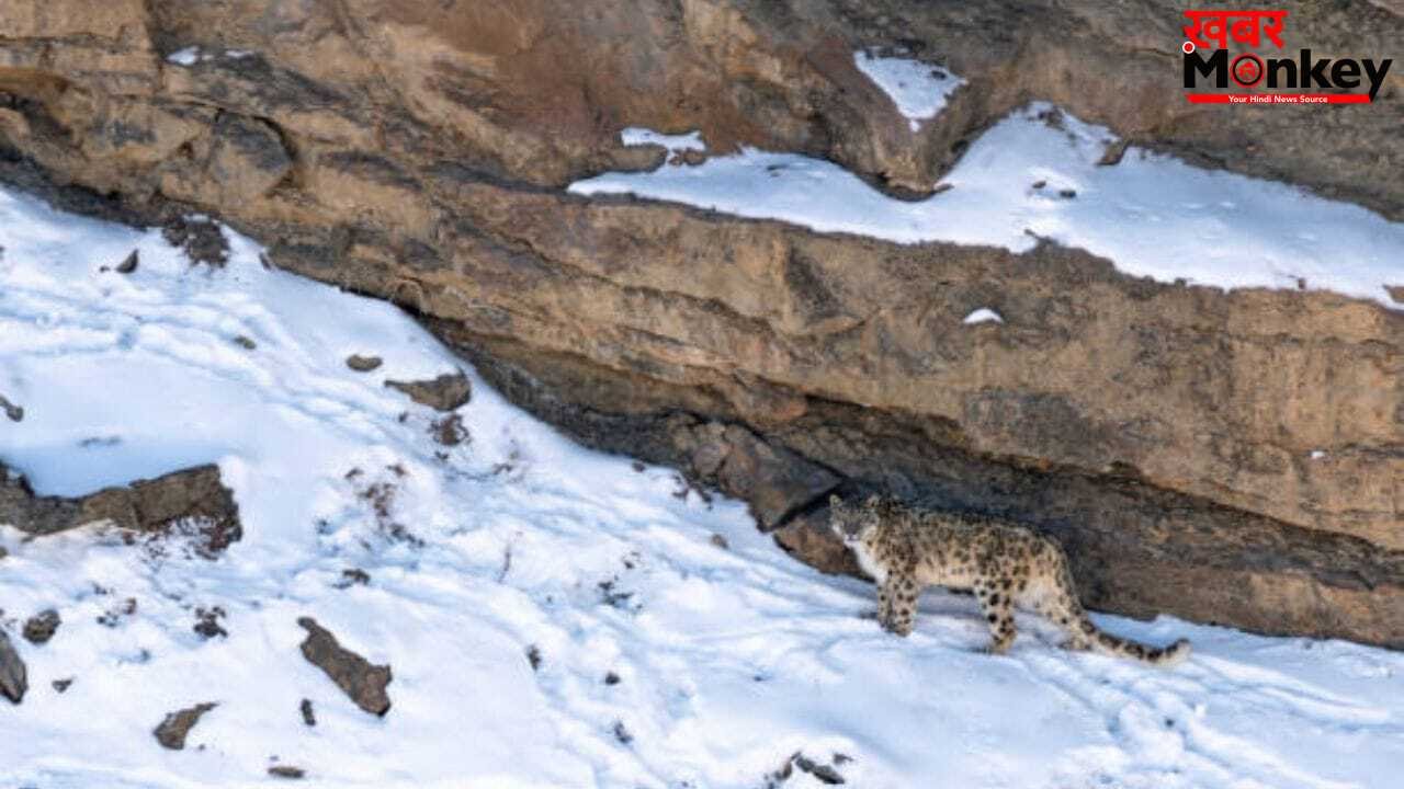 फोटोग्राफर को 12 दिन बाद दिखा ‘पहाड़ों का भूत’, तपस्या से कम नहीं है ये इंतजार