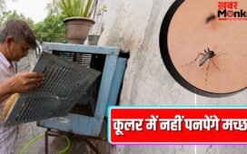 कूलर के पानी में नहीं पनपेंगे मच्छर, बस उसमें डाल दें ये 3 सस्ती चीजें