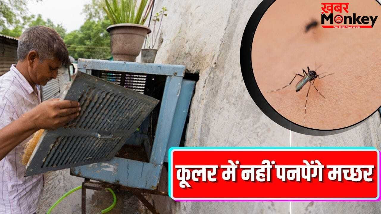 कूलर के पानी में नहीं पनपेंगे मच्छर, बस उसमें डाल दें ये 3 सस्ती चीजें