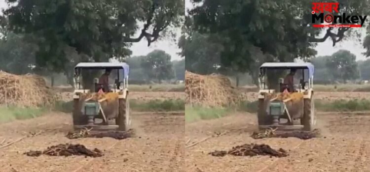 OMG! शख्स ने ट्रैक्टर और मशीन का ऐसा इस्तेमाल, वायरल हुआ वीडियो देख पक्का हैरान रह जाएंगे