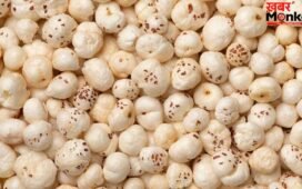 Makhana Dishes: पेट रहेगा ठंडा, गजब की फुर्ती…सिर्फ भूनकर नहीं गर्मी में इस तरह भी खाएं मखाना