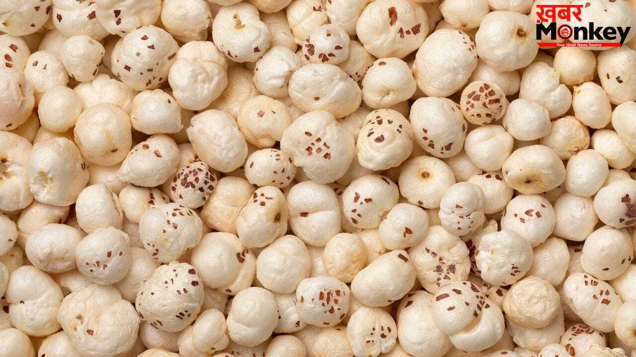 Makhana Dishes: पेट रहेगा ठंडा, गजब की फुर्ती…सिर्फ भूनकर नहीं गर्मी में इस तरह भी खाएं मखाना