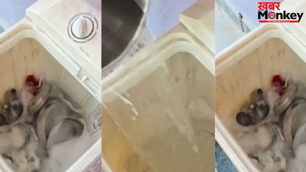 OMG! कपड़ों की जगह वॉशिंग मशीन में डाले बर्तन, वायरल वीडियो ने सोशल मीडिया पर मचाया तहलका