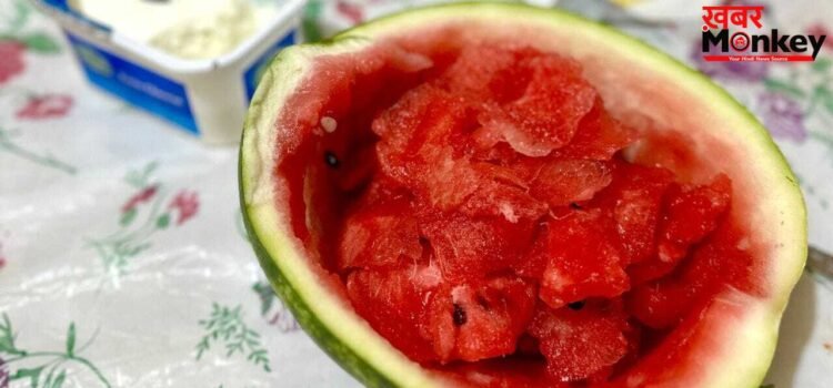 क्या तरबूज और बिरयानी खाने से हो सकती है मौत? क्या कहते हैं एक्सपर्ट्स