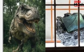 OMG! 5 करोड़ का हैंडबैग, 6 करोड़ साल पुराने जानवर से हुआ तैयार, बना अनोखा फैशन आइटम