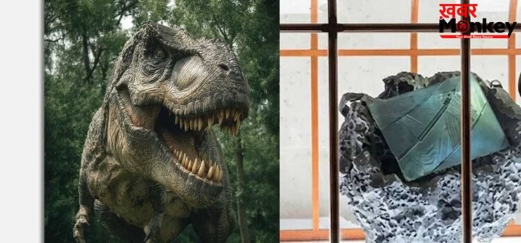 OMG! 5 करोड़ का  हैंडबैग, 6 करोड़ साल पुराने जानवर से हुआ तैयार, बना अनोखा फैशन आइटम