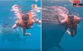 अंडरवाटर फोटोशूट करा रही थी महिला, तभी आ गई खूंखार व्हेल शार्क, फिर जो हुआ…देखें वीडियो