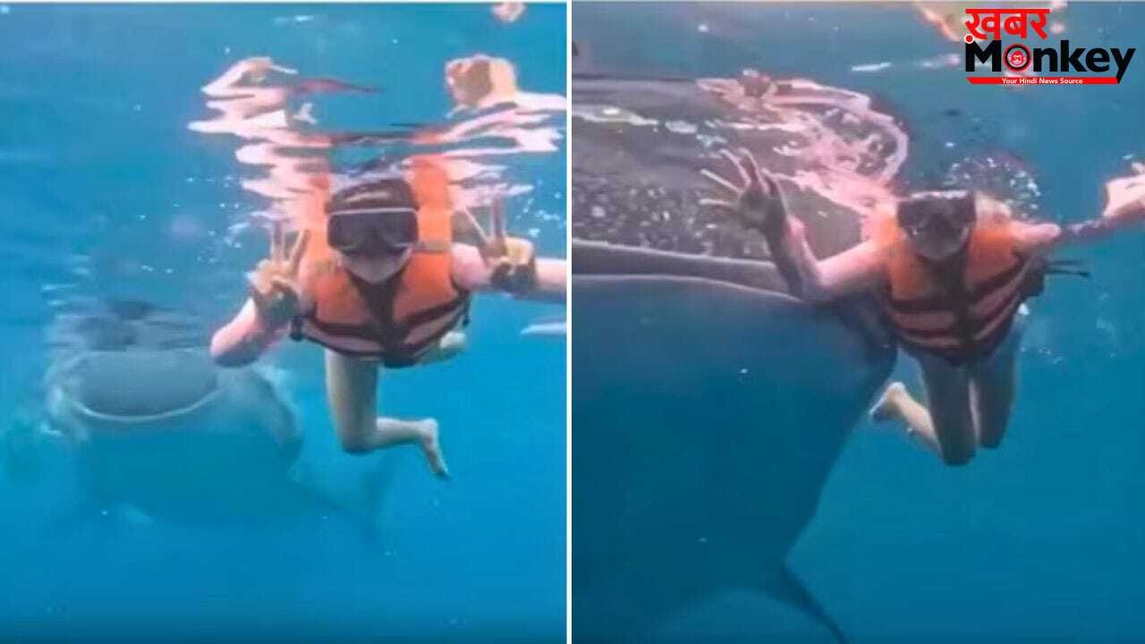 अंडरवाटर फोटोशूट करा रही थी महिला, तभी आ गई खूंखार व्हेल शार्क, फिर जो हुआ…देखें वीडियो