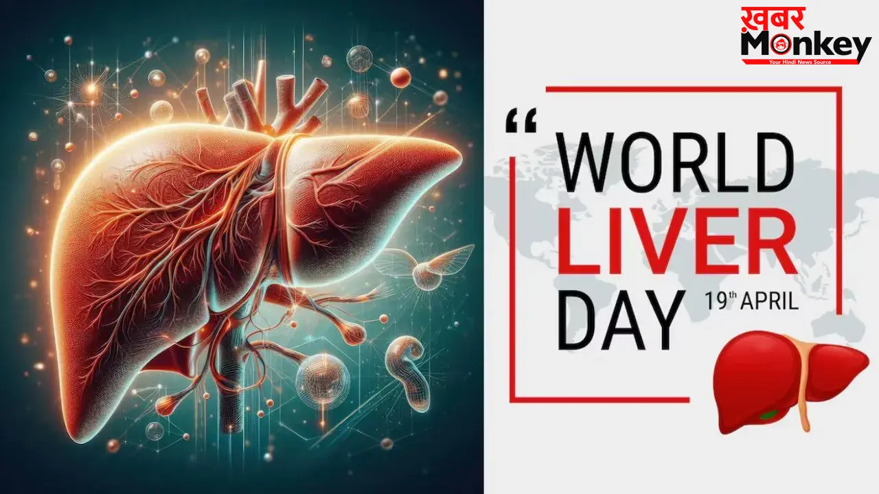 World Liver Day 2026: लिवर डैमेज के संकेत दिखने से पहले अपनाएं ये 4 आदतें, वरना हो सकता है बड़ा नुकसान