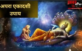 Ekadashi Upay: हर काम में आ रही है बाधा? अपरा एकादशी पर करें ये अचूक उपाय, कट जाएंगे सारे दुख-पाप!