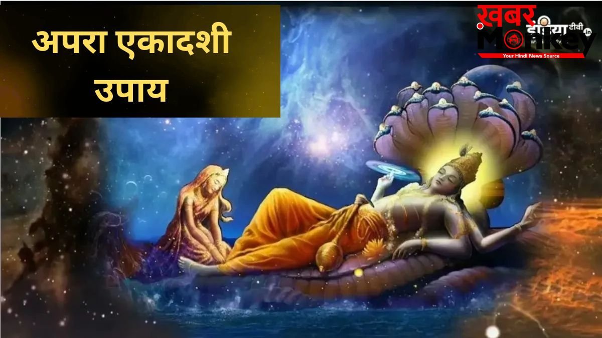 Ekadashi Upay: हर काम में आ रही है बाधा? अपरा एकादशी पर करें ये अचूक उपाय, कट जाएंगे सारे दुख-पाप!