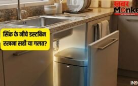 Kitchen Dustbin Direction: सिंक के नीचे डस्टबिन रखना सही या गलत? जानिए किचन में कूड़ेदान रखने की सही दिशा