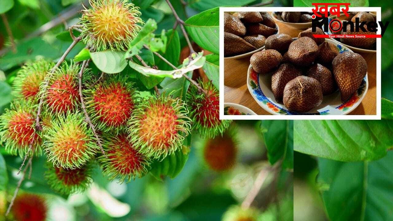 इन 4 फलों के बारे में बहुत कम भारतीय हैं जानते, स्वाद से भरपूर, फायदे भी ढेरों