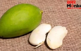 Aam Ki Guthli Benefits: आम की गुठली फेंकने से पहले ये पढ़ लीजिए, इसके फ़ायदे कर देंगे हैरान