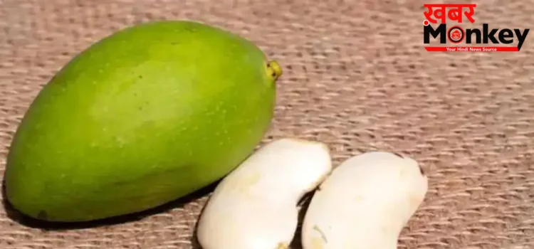 Aam Ki Guthli Benefits: आम की गुठली फेंकने से पहले ये पढ़ लीजिए, इसके फ़ायदे कर देंगे हैरान Aam Ki Guthli Benefits: आम की गुठली फेंकने से पहले ये पढ़ लीजिए, इसके फ़ायदे कर देंगे हैरान