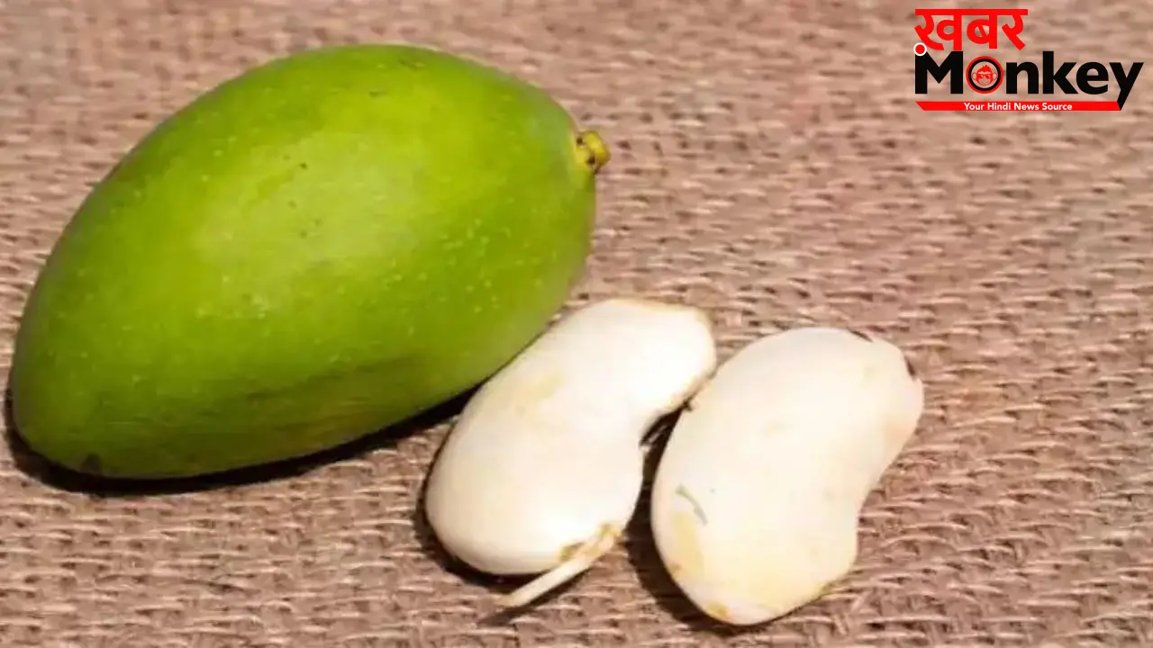 Aam Ki Guthli Benefits: आम की गुठली फेंकने से पहले ये पढ़ लीजिए, इसके फ़ायदे कर देंगे हैरान