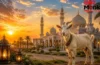 Bakrid 2026: बकरीद की तारीख़ का कंफ्यूज़न ख़त्म, यहां जानिए कब मनेगी, और जानिए क्यों दी जाती है कुर्बानी