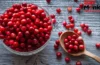 Cranberry: इस एक फल को रोजाना खाएंगे, तो बने रहेंगे जवां; बढ़ती उम्र भी थम जाएगी