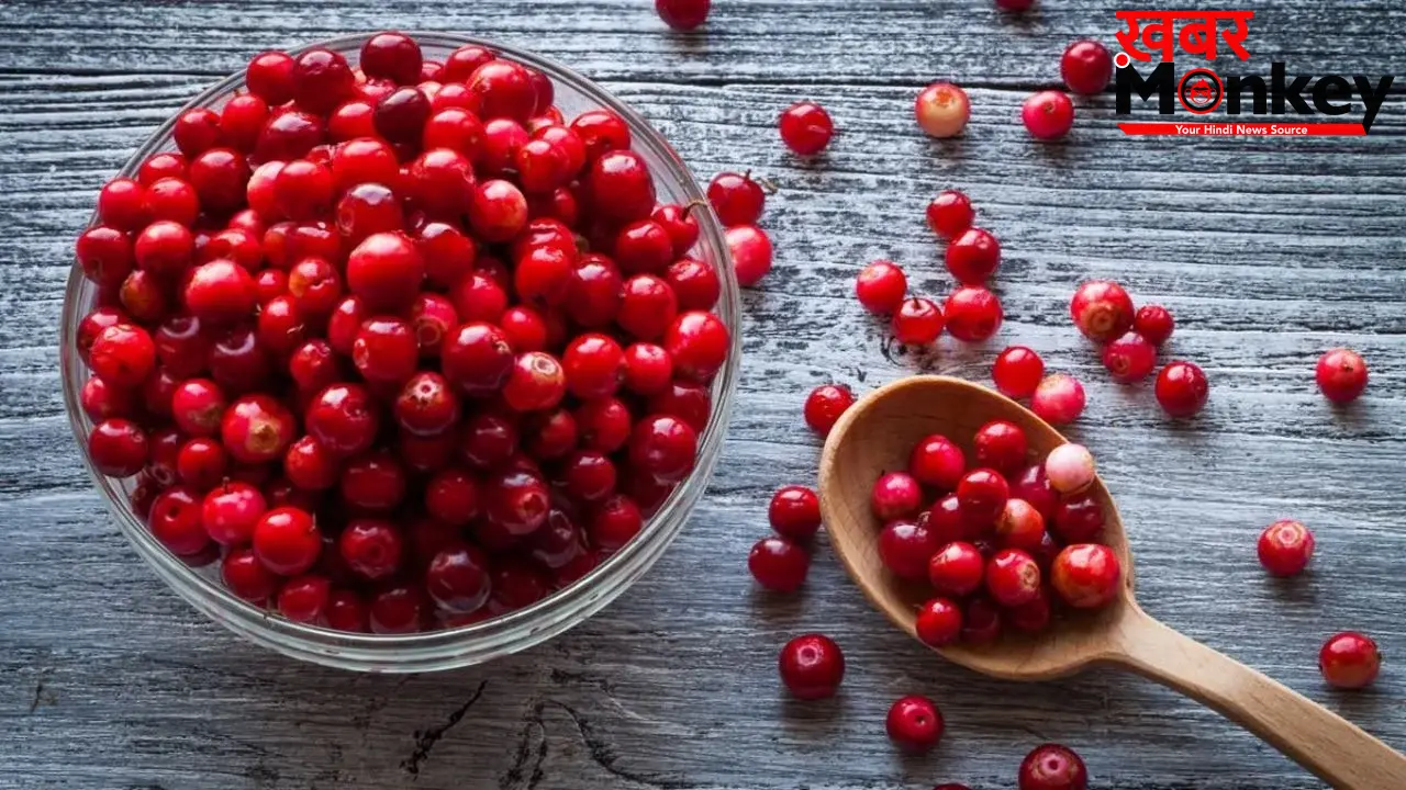 Cranberry: इस एक फल को रोजाना खाएंगे, तो बने रहेंगे जवां; बढ़ती उम्र भी थम जाएगी