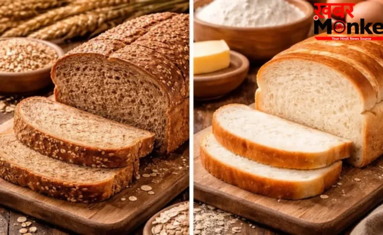 Brown vs White Bread: ब्राउन ब्रेड या व्हाइट ब्रेड, कौन है ज्यादा हेल्दी? कंफ्यूज हैं, तो पढ़ें ये रिपोर्ट Brown vs White Bread: ब्राउन ब्रेड या व्हाइट ब्रेड, कौन है ज्यादा हेल्दी? कंफ्यूज हैं, तो पढ़ें ये रिपोर्ट
