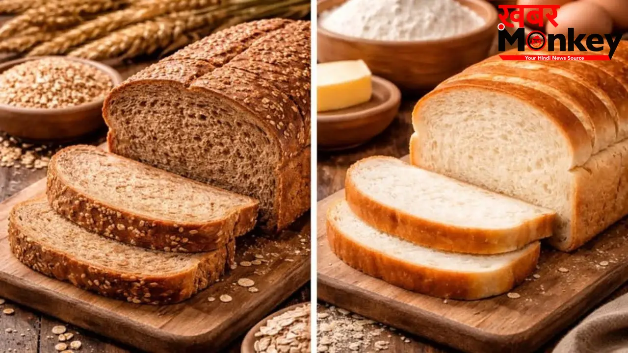 Brown vs White Bread: ब्राउन ब्रेड या व्हाइट ब्रेड, कौन है ज्यादा हेल्दी? कंफ्यूज हैं, तो पढ़ें ये रिपोर्ट