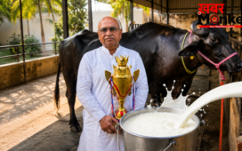 यूपी में सबसे ज्यादा दूध देने वाली सहारनपुर की भैंस गार्गी, जानें इसकी खासियत