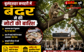 बुलंदशहर कचहरी में बंदर ने की नोटों की बारिश वकील का 2 लाख रुपयों से भरा बैग लेकर पेड़ पर चढ़ा, 40 हजार गायब
