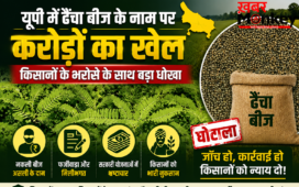 यूपी में खेती पर ग्रहण : ढैंचा बीज के नाम पर करोड़ों का खेल, किसानों को थमाया घुना हुआ कचरा