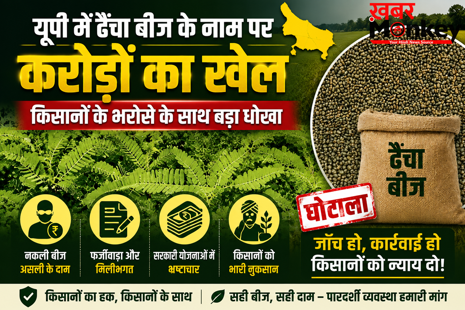 यूपी में खेती पर ग्रहण : ढैंचा बीज के नाम पर करोड़ों का खेल, किसानों को थमाया घुना हुआ कचरा
