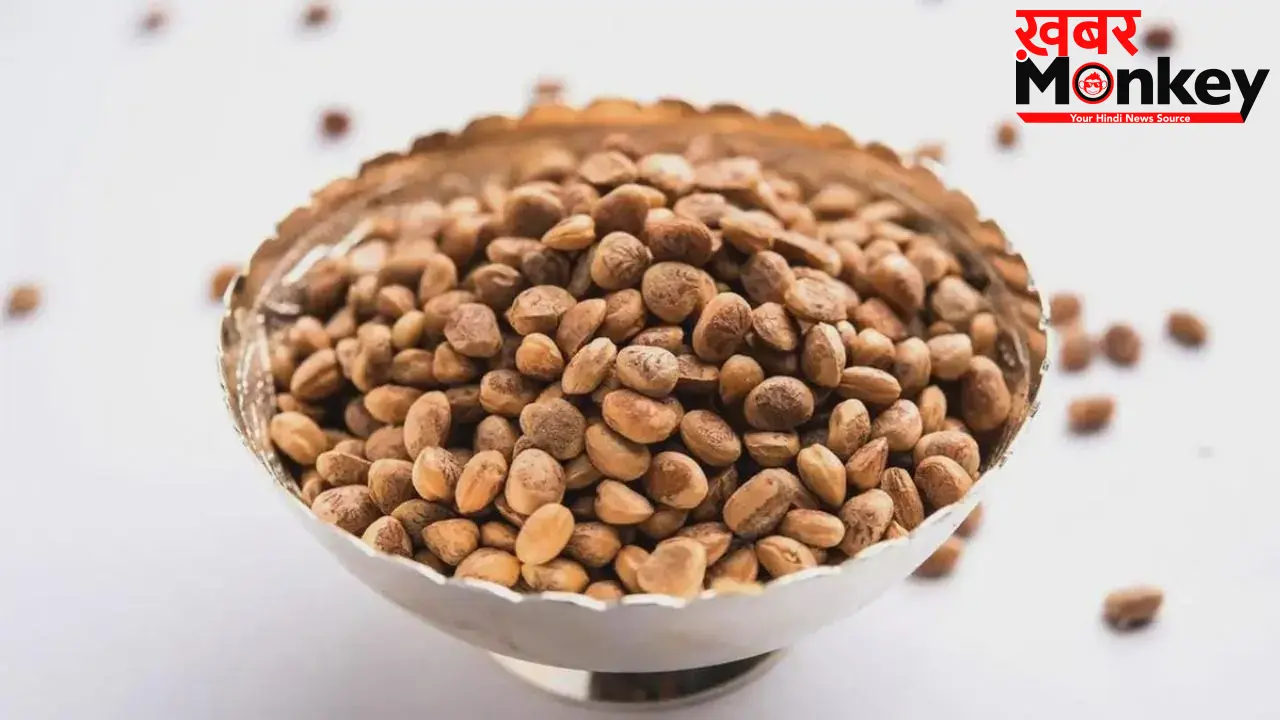 Chironji Benefits: सिर्फ स्वाद नहीं, सेहत का खजाना है चिरौंजी, फायदे जान चौंक जाएंगे आप