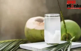 Coconut Water Side Effect: हर किसी के लिए हेल्दी नहीं नारियल पानी, इन 6 लोगों को कर सकता है नुकसान