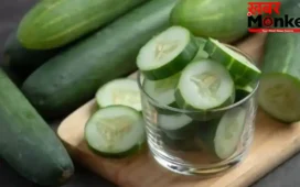 Cucumber Benefits: खीरा छीलकर खाना ज्यादा फायदेमंद या बिना छीले? जानिए क्या सही है तरीका