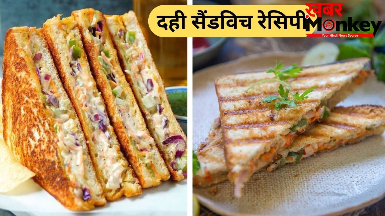 बच्चे रोजाना एक जैसा नाश्ता खाकर हो गए हैं बोर तो नाश्ते में दही से बनाएं सैंडविच, नोट करें 3 रेसिपी