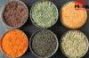 Protein In Dal: इन 7 दालों में है प्रोटीन का खजाना, आज ही करें डाइट में शामिल