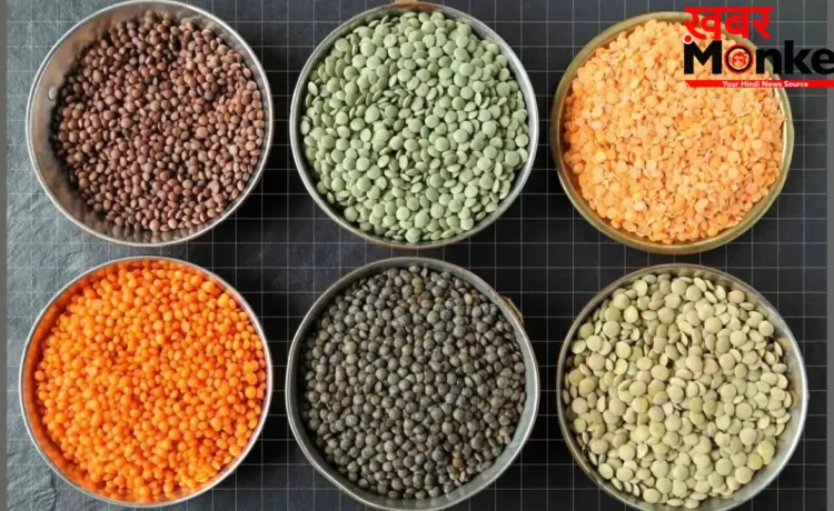 Protein In Dal: इन 7 दालों में है प्रोटीन का खजाना, आज ही करें डाइट में शामिल Protein In Dal: इन 7 दालों में है प्रोटीन का खजाना, आज ही करें डाइट में शामिल