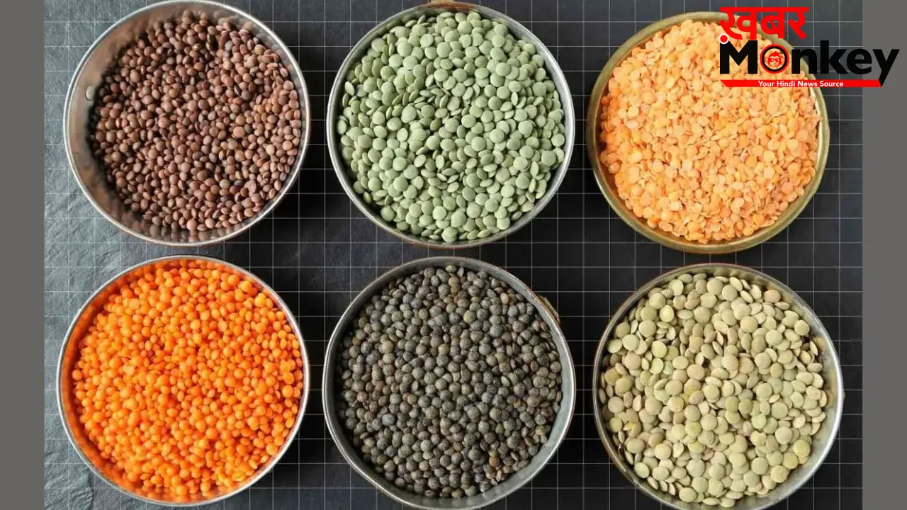 Protein In Dal: इन 7 दालों में है प्रोटीन का खजाना, आज ही करें डाइट में शामिल