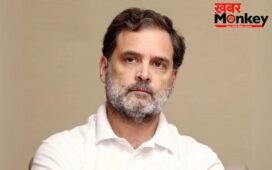 राहुल गांधी ने थलपति विजय से फोन पर की बातचीत, तमिलनाडु में जीत की दी बधाई