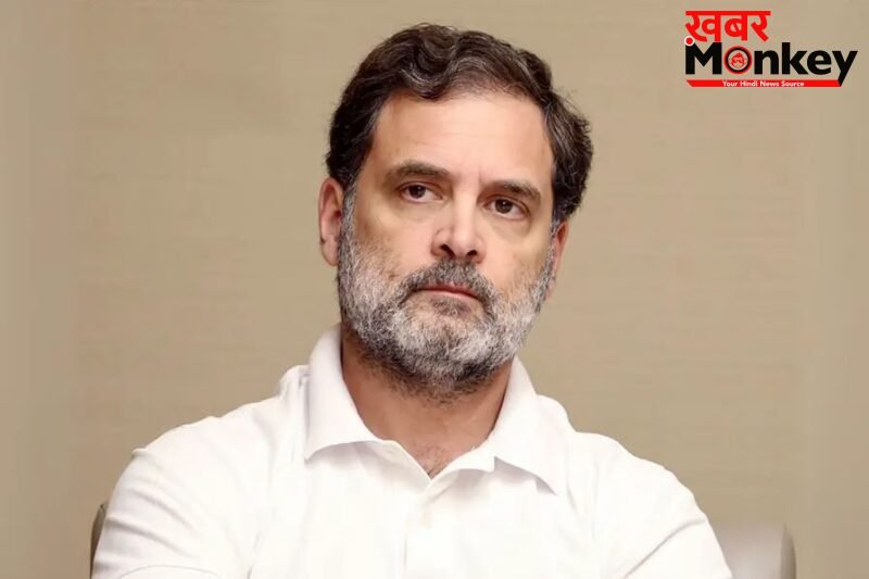 राहुल गांधी ने थलपति विजय से फोन पर की बातचीत, तमिलनाडु में जीत की दी बधाई