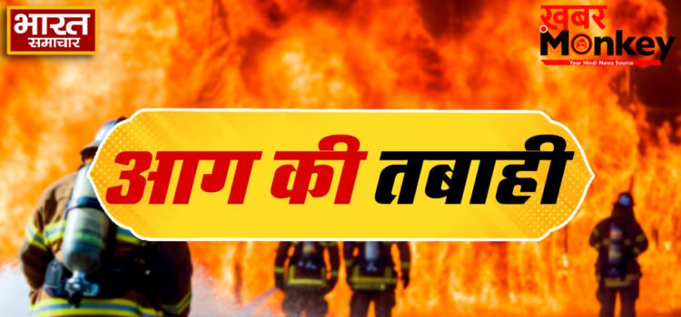 Delhi: विवेक विहार में अग्निकांड से हड़कंप,आग में झुलसकर 9 लोगों की मौत Delhi: विवेक विहार में अग्निकांड से हड़कंप,आग में झुलसकर 9 लोगों की मौत