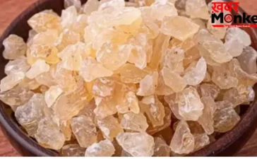 Gond Katira Benefits:गर्मी के मौसम में गोंद कतीरा खाने के क्या फ़ायदे हैं? जानिए और आज़मा कर देखिए